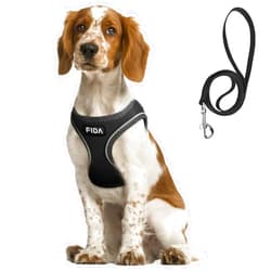 Fida Comfy Dog Harness with Leash, Soft Puppy Vest Escape Proof, Breathable Lightweight Soft Mesh, Adjustable Reflective Step-in Harness for Small & Medium Pet Walking (L, Black)