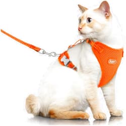Supet Cat Harness and Leash for Walking Escape Proof, Adjustable Harness for Cats, Easy Control Small Cat Harness for Medium Large Kitten and Dogs