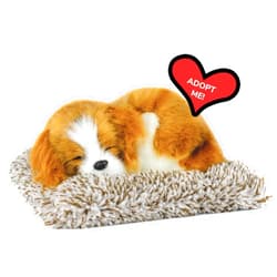 Perfect Petzzz Mini Cavalier King Charles, Realistic Battery-Operated Dog Toy, Calming Companion for Kids & Elderly