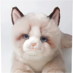 CU-MATE 20 Inch- Gray Ragdoll Cat Plush Stuffed Animal Toys -Realistic Ann Baker Cat Handmade Plush Pet Present Gift with Box