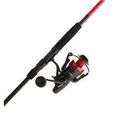 Penn Fierce IV Spinning Reel and Fishing Rod Combo