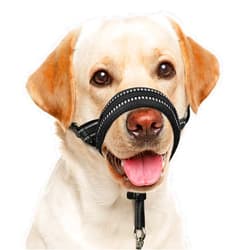 BARKLESS Soft Dog Head Collar, Padded No Pull Head Halter, Dog Training Nose Leash with Safety Link for Medium Large Dogs, Adjustable Muzzle Leash, Easy Control for Dog Walks(Black, L)