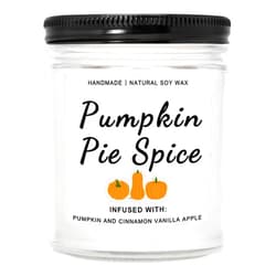 Homsolver Fall Candles, Pumpkin Cinnamon Spice Candle, Fall Decor, Fall Decor Candles for Home, Fall Decorations for Home, Fall Pumpkin Cinnamon Spice Scented Candles - 9 Oz Fall Candles Gifts for Women