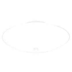 Westinghouse 66242 6624200 Two-Light Semi-Flush-Mount Interior Ceiling Fixture, Finish with White Glass