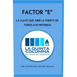 JOSÉ LUIS SEVILLANO RODRÍGUEZ,RICARDO DELGADO MARTÍN FACTOR E: LA LLAVE QUE ABRE LA PUERTA DE TODOS LOS MISTERIOS: Descubre LA QUINTA COLUMNA, una odisea de la Humanidad (Spanish Edition)