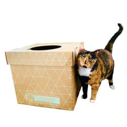 Cats Desire Leakproof Disposable 4-Pack Cat Litter Box Pack (4 Sets) w/Top/Low Entry Set (17