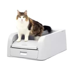 PetSafe ScoopFree Clumping Self-Cleaning Litter Box for Clumping Litter – Superior Odor Control – Never Scoop Litter Again – For Single and Multi-Cat Households