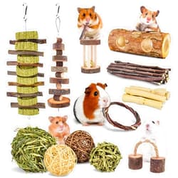 ERKOON New 12 Pack Hamster Chew Toys Gerbil Rat Guinea Pig Chinchilla Chew Toys Accessories, Natural Wooden Dumbbells Exercise Bell Roller Teeth Care Molar Toy for Rabbits Bird Rabbits Hamster Gerbil