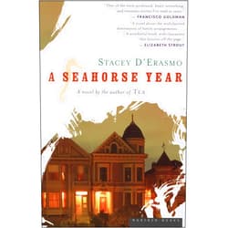 Stacey D'Erasmo A Seahorse Year: A Novel