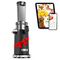 AAOBOSI Aobosi Compact Small Mini Juicer Machines Space-Saving Slow Masticating Juicer with High Juice Yield, Cleaning Brush Included, Small Cold Press Juicer Fit for Travel/Picnic/Office(Black)