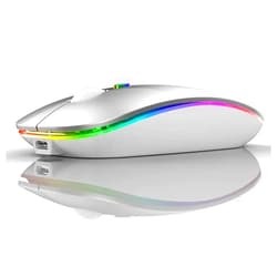Neises LED Bluetooth Mouse,Bluetooth Mouse for MacBook Pro/MacBook Air/iMac/mac/ipad/ipad pro,Wireless Mouse for Macboook Air/MacBook Pro/PC (Silver)