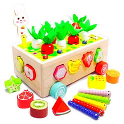 ACROFEK Montessori Toys for Toddlers 1+ Years,Shape Sorter Toys for Toddlers 1-3,Toys for 1 2 3 Year Old Boy Shape Sorte,Kids Gifts 2 3 Year Old Girl Boy