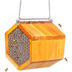 POLLIBEE Mason Bee House - Handmade Natural Wooden Bee Hive Coated with Wax for Water-Proof and Long Service Life - Attracts Peaceful Bee Pollinators to Your Garden, Bee Houses for Garden