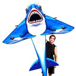 SGftre Delta Kite for Kids & Adults，Extremely Easy to Fly for Beginners，Kites for Beach Trip Park Family Outdoor Activities