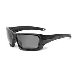 ESS Ballistic Safety Glasses,Assorted, Black (EE9018-02)