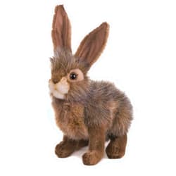 Hansa Plush - 9