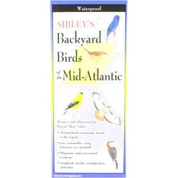 David Allen Sibley Sibley's Backyard Birds of the Mid-Atlantic & South-Central States (Foldingguides)