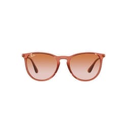 Ray-Ban Rb4171 Erika Round Sunglasses