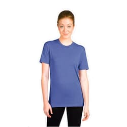 Next Level Apparel The Next Level mens 6010