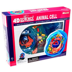 TEDCO Famemaster 4D-Science Animal Cell Anatomy Model Coral, Black, Mint Green, Beige, Gold, Rose Gold