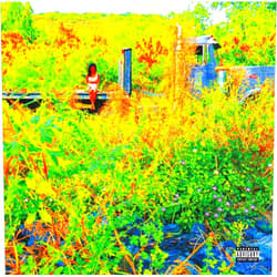Jhené Aiko Format: Audio CD Trip Explicit Lyrics