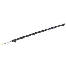 Dare Products 2400 48