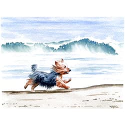 DJ Rogers Fine Art Yorkshire Terrier at the Beach Watercolor Art Print by Artist DJ Rogers/Oversized