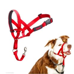 Halti Headcollar - Stop Your Dog Pulling on The Leash. Adjustable, Reflective and Lightweight, with Padded Nose Band. Dog Training Anti-Pull Collar for Medium Dogs (Size 2, Red)