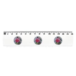 Azeeda 'Flower Pink' 15cm (6 Inch) White Plastic Ruler (RL00074157)