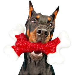 Kseroo Tough Dog Toys, Toys for Aggressive Chewers Large Breed, Chew Dogs, Bone Toy Nylon Dogs Extreme Indestructible