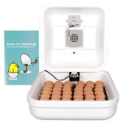 Incubator Warehouse HovaBator 2370 Starter Incubator Kit with Circulated Air Incubator - Egg Incubator with Automatic Egg Turner for Hatching Chicken - Goose, Duck, Turkey, Quail, Chicken Incubator