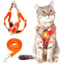 Otunrues Cat Harness and Leash Set for Walking Escape Proof, Easy-to-WEAR Adjustable Cat Harness with Reflective Strap - Comfort Fit for Kitten Cat and Small Dogs (Orange,XL)