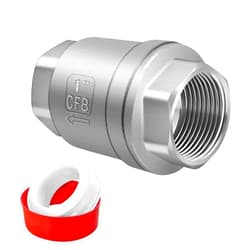 Boltigen 1 inch Spring Check Valve, 304 Stainless Steel CF8 Non Return One Way Horizontal Check Valve, Vertical Inline Water Check Valve for Well, Pump, Tank, Backflow Prevention, WOG 1000