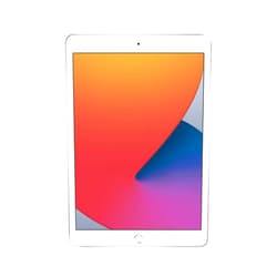 Heywood Apple iPad (10.2-inch, Wi-Fi, 32GB) - Silver (Latest Model, 8th Generation) (Renewed)