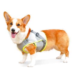 Gleepurr Dog Harness for Small and Medium, Comfortble Mesh Ruffwear Harness with Dual Buckles, Dog Cooling Vest, No-Pull for Dog Outdoor Walks (Green, M)