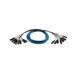 Whirlwind Audio Multitrack Snake, 8 XLRF to 8 XLRM, 25', Fan to Fan