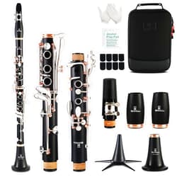 ROWELL Clarinet Professional 17 keys B Flat Clarinet Two-color Silver-plated Keys Clarinet for Beginner Student Performance Test with Professional Clarinet Case