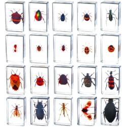 Macarrie 20 Pcs Insect in Resin Bug Preserved Specimen Collection Paperweights Resin Insects Various Insect Specimen for Office Men Women Biology Science Teacher Education Bug Collection Supplies (Insect)