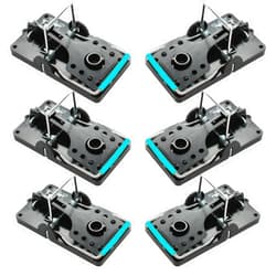 Kat Sense Large Rat Snap Traps Set of 6 - Stainless Steel Bar Design, Humane Rat Trap Indoor & Outdoor Use, Mouse Catcher for Repeat Use, High Precision Triggering, Traps for Rats, Mice, Chipmunks