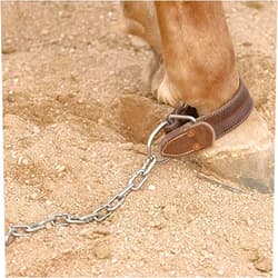 Schutz Brothers Shutz Brothers Kicking & Pawing Chain