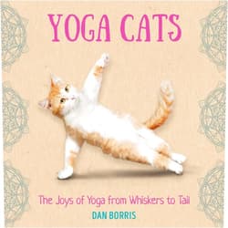 Dan Borris Yoga Cats: A Humorous Gift Book for Cat and Yoga Lovers