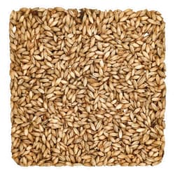 Home Brew Ohio Munich Light 8L Grain 1lb