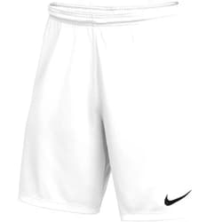 Nike mens Dry Park III Shorts