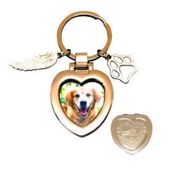 JOEZITON Pet Memorial Gifts (Opts) Passed Away Personalized Family Picture Frame or Keychain Jewelry Angel with Paws for Loss of Dogs or Cats.(K1)