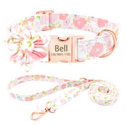 Senristar Personalized Cute Flower Girl Dog Collar with Leash,Custom Floral Dog Collar with Name,Engraved Gold Buckle Dog Collar for Female Dogs