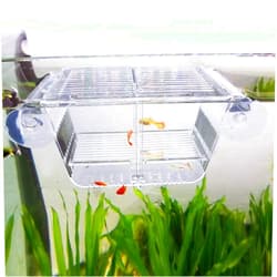 capetsma Fish Breeding Box, Acrylic Fish Isolation Box with Suction Cups, Aquarium Acclimation Hatchery Incubator for Baby Fishes Shrimp Clownfish and Guppy... Small Size (S)