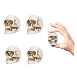 READAEER Resin Skull 4 pcs/Set, Mini Skull Model for Home Decoration, Halloween Skull Statue, Human Skull Head Bone Model for Desktop
