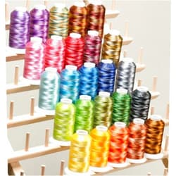 ThreadNanny 25 Large Cones Variegated Embroidery Machine Thread 40wt 1100yards Poly120D/2