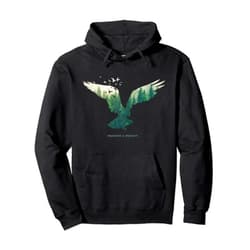 Retro National Park Shirts For Women, Men & Kids Preserve & Protect Vintage National Park Eagle Bird Pullover Hoodie