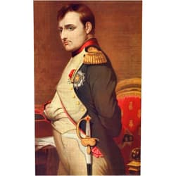 Posterazzi Napoleon I Napoleon Bonaparte 1769 - 1821 French Emperor General During The French Revolution From The Book Harmsworth History Of The World Published 1909 Poster Print (11 x 18)